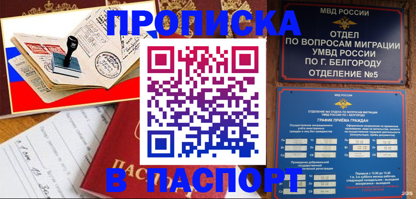 купить прописку в Павловском Посаде